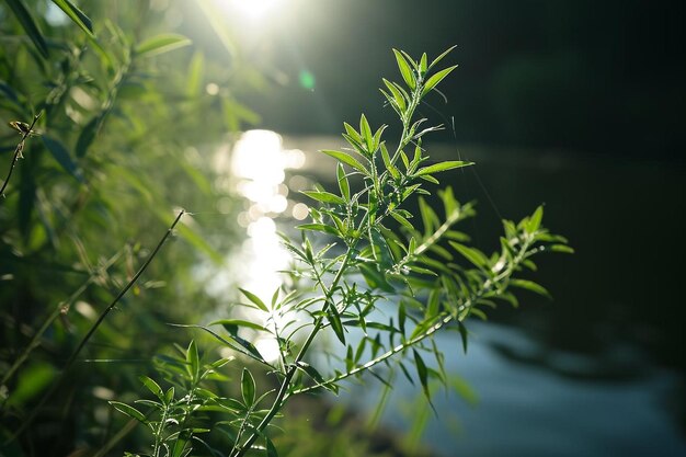 Blurred hello summer background bokeh effect