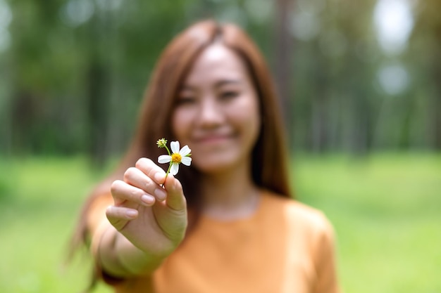 Blurred image of a beautiful young asian woman holding Biden Alba or Spanish needles flower