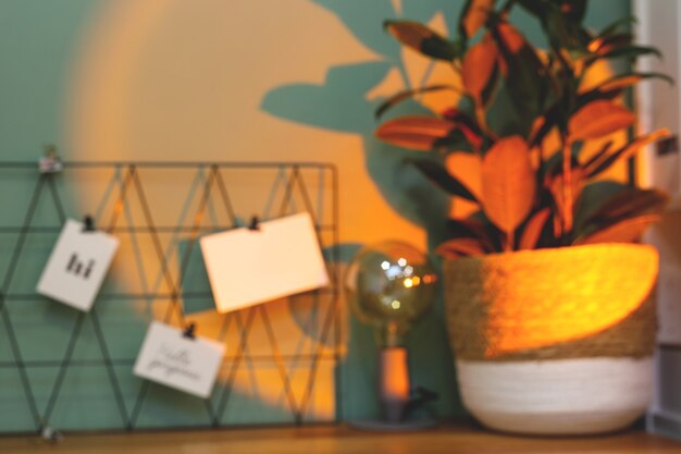 Blurred image black moodboard with postcards and reminders against green wall with plant pot