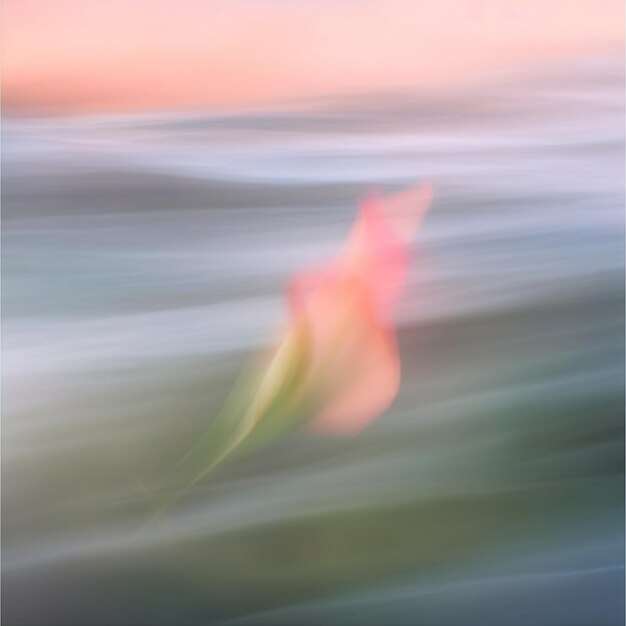 Foto immagine sfocata di un singolo fiore nell'oceano al tramonto