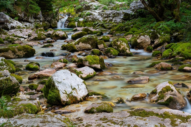 Blurred image of a stream of water flowing through beautiful green nature over mossy rocks