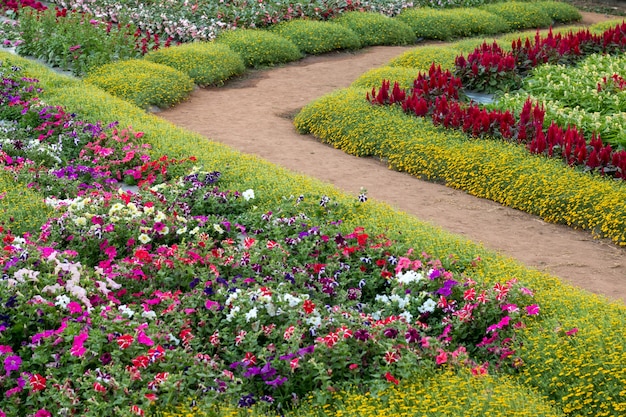 Foto sfocato di giardino di fiori di paesaggio per lo sfondo