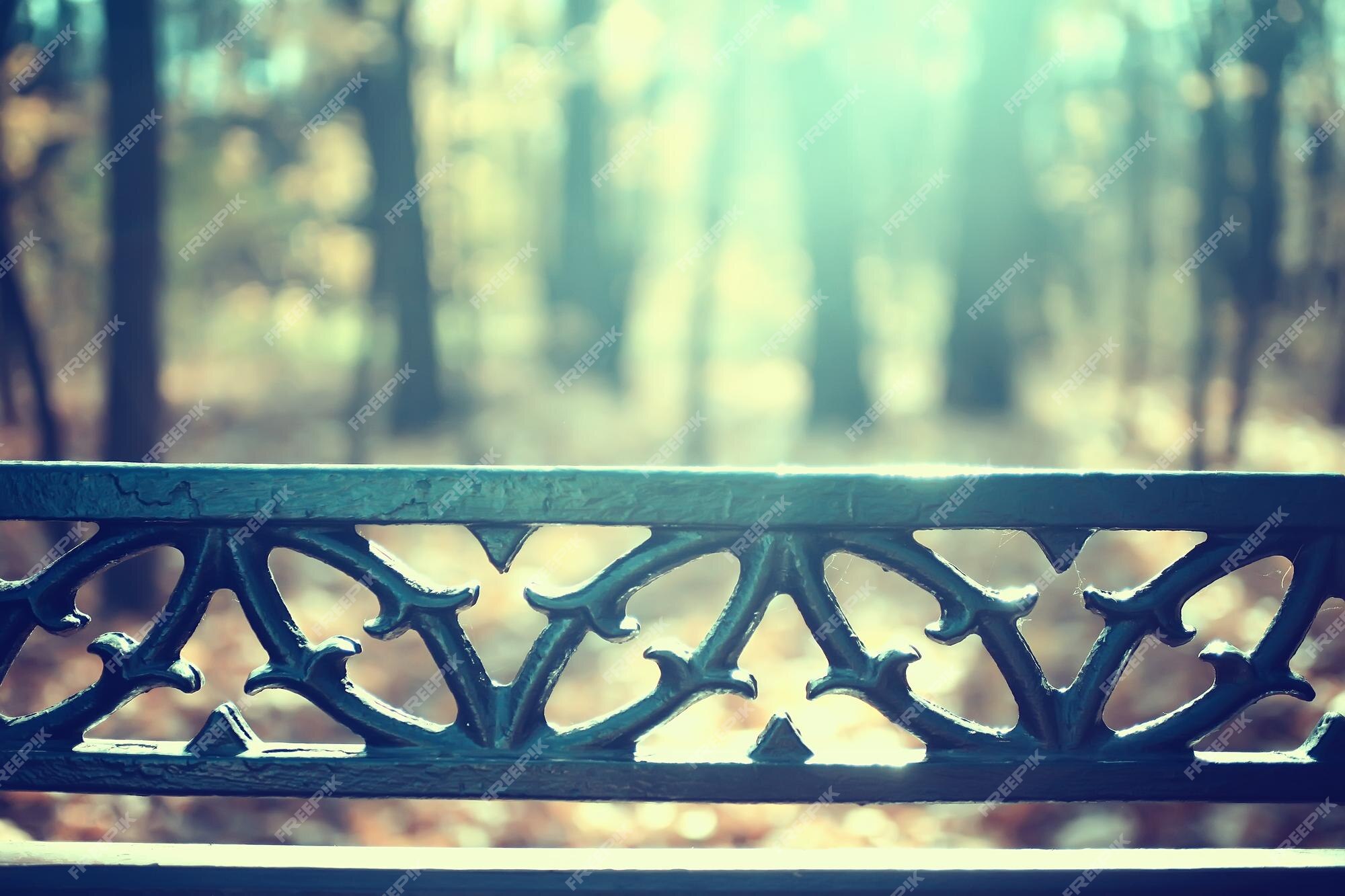 Premium Photo | Blurred leaves background, bokeh park landscape, autumn  view in october