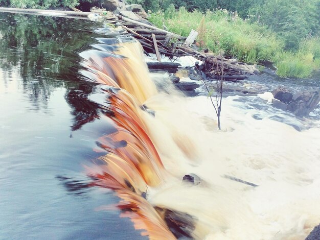 Фото Размытое движение птиц, плавающих в воде