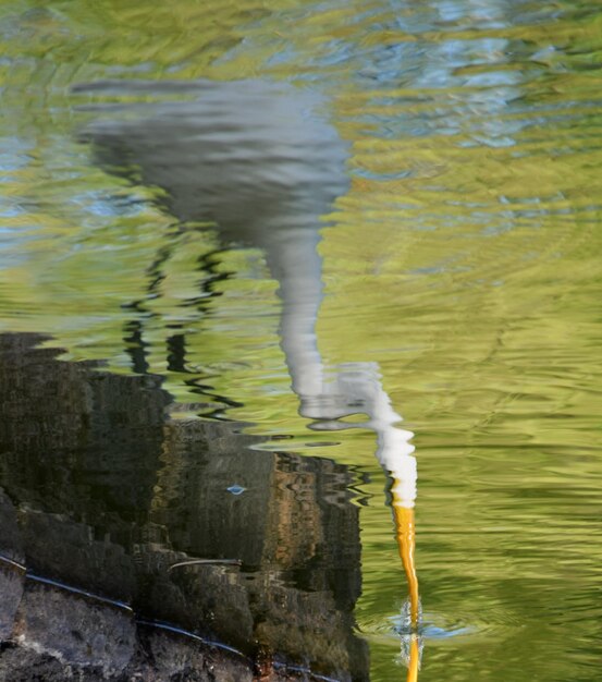 Foto movimento sfocato delle persone lungo il lago