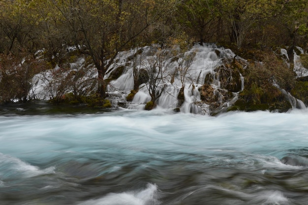 Размытое движение водопада и реки в лесу