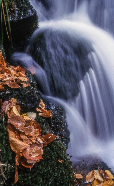 Foto movimento sfocato della cascata