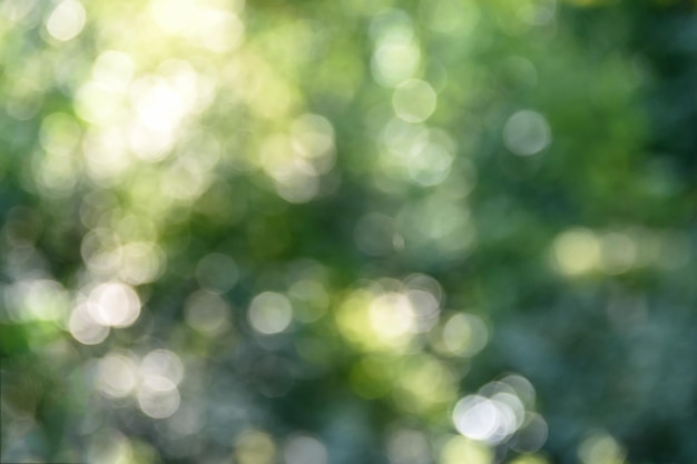 Blurred natural green background bokeh glare