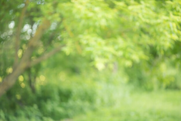 Photo blurred natural landscape