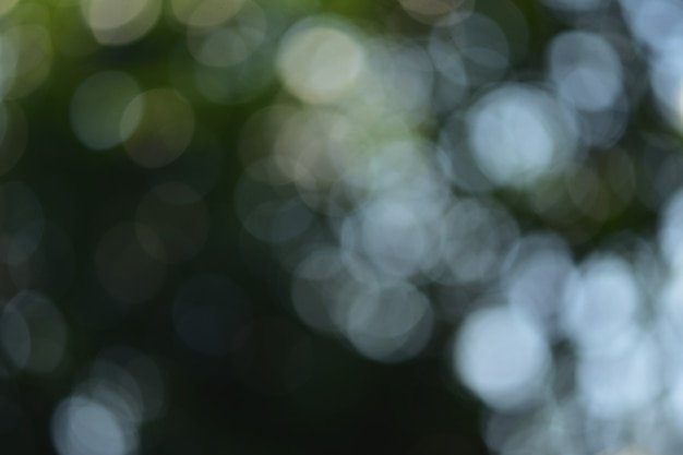 Photo blurred nature background