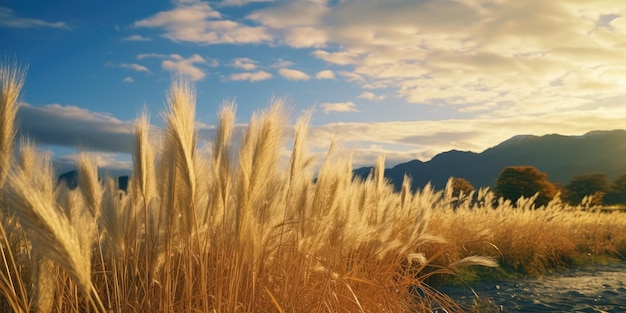 Blurred Pampas Grass Texture Background Dry Soft Cortaderia Selloana Swaying Fluffy Autumn Pampas Grass Reed Generative AI Illustration