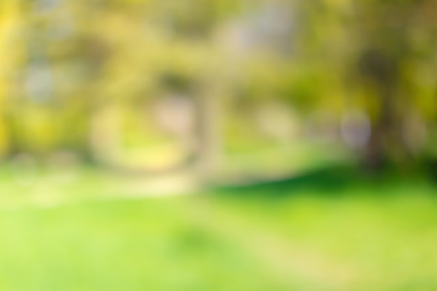 Blurred park, vibrant green natural background