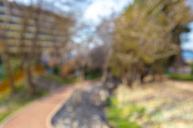 ぼやけた公園の眺め