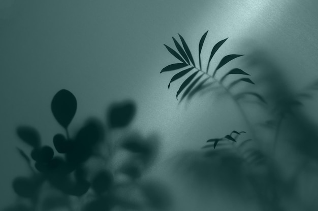 Photo blurred picture with fog effect of palm leaves silhouettes behind frosted glass with backlight