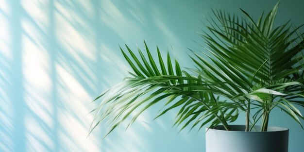 Blurred shadow from palm leaves on the light blue wall Minimal abstract background for product