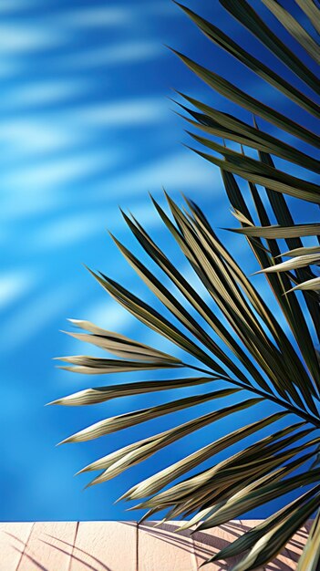 blurred shadow from palm leaves uhd wallpaper