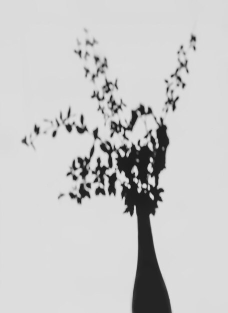 사진 꽃다발에 있는 가지의 흐릿한 그림자