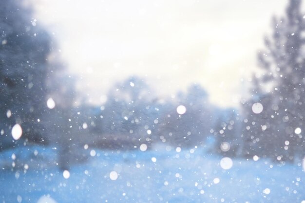 ぼやけた雪の背景 冬の風景 雪に覆われた木々や植物