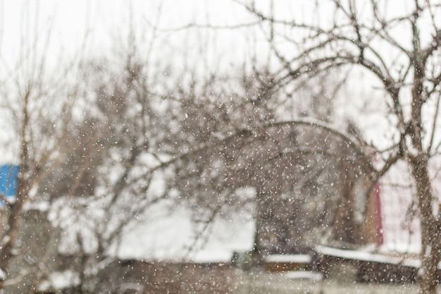 Blurred  snow winter village small houses and trees