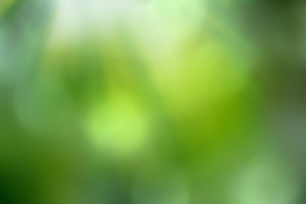 Blurred spring background with bokeh effect