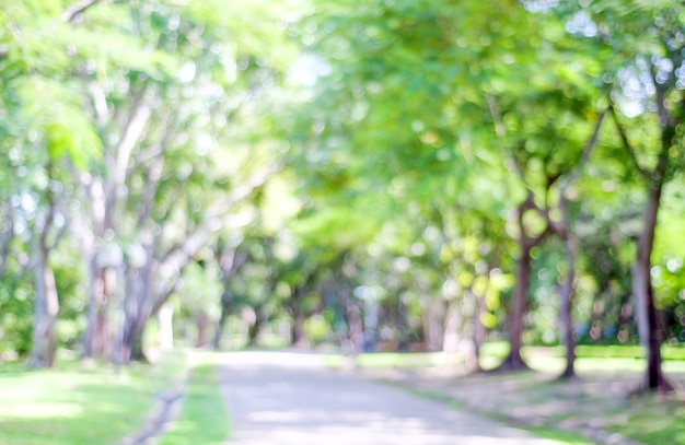 Photo blurred spring nature outdoor background