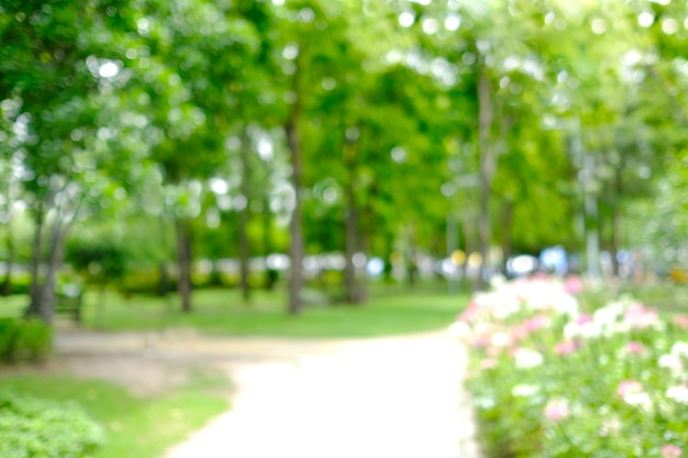 ぼんやりとした春と夏の自然の屋外の背景、ぼかし緑色の公園の背景