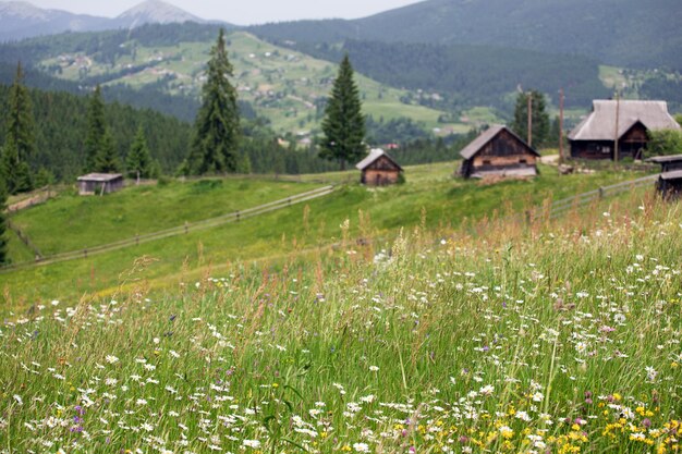 Blurred wooden houses and grass on a hills