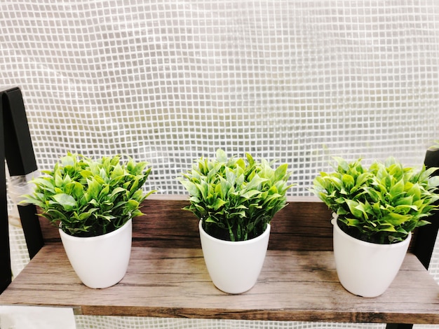 Foto sfocate di piante verdi artificiali su sfondo di vaso di plastica bianca