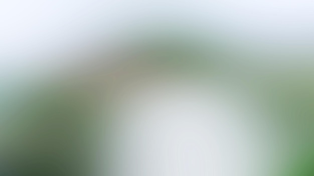 A blurry green background with a blurry background