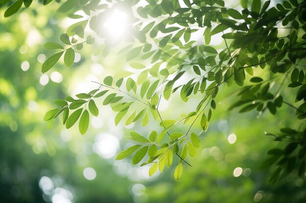 Blurry jungle abstract green foliage and trees