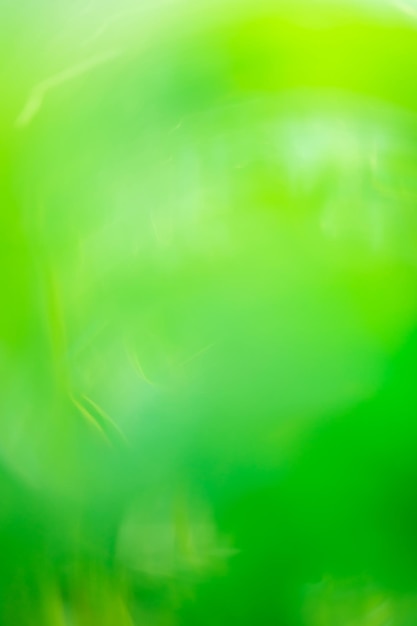 Blurry mango color bokeh backdrop Green haze bokeh backdrop