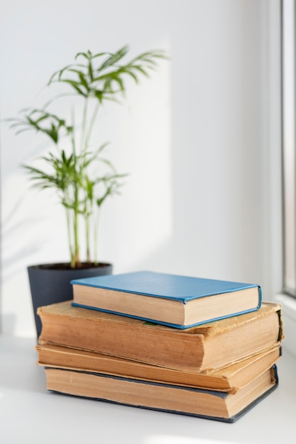 Blurry plant and books arrangement