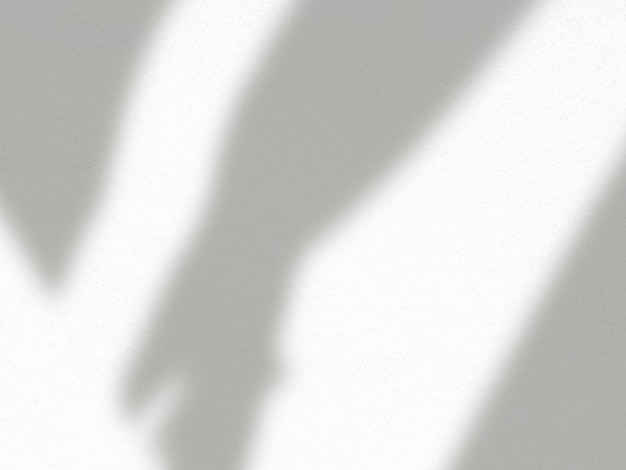 blurry realistic natural organic shadow of leaf