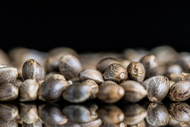 Blurry shot of cannabis seeds on a reflecting surface