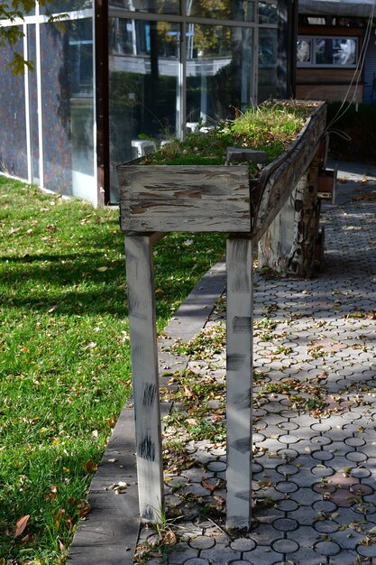 Le tavole per la ragazza dei fiori sono dipinte con vernice bianca. ragazza di fiori su gambe alte fatte di assi.