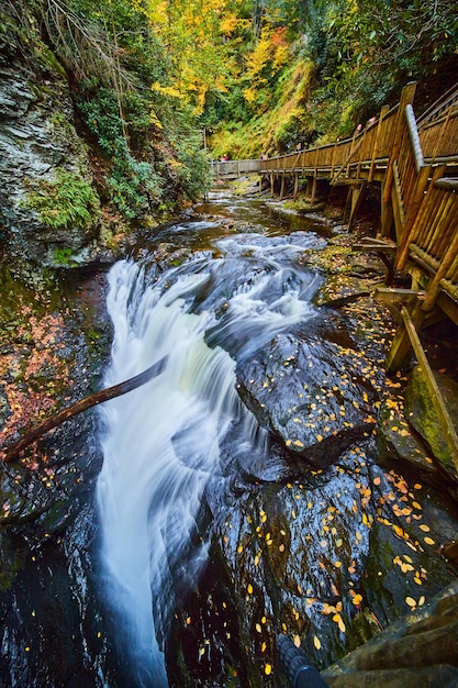 Boardwalk along river with raging falls into abyss and cliffs\
covered in golden fall leaves