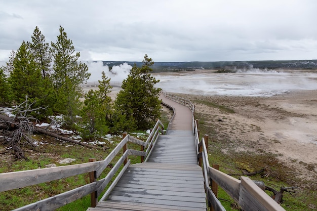 Boardwalk around hot spring geyser in american landscape