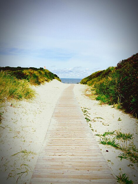 Photo boardwalk on beach amidst plants against sky