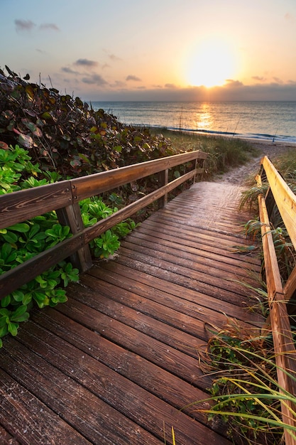 Boardwalk on beach