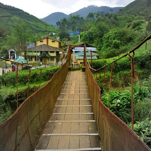 Photo boardwalk bridge leading to rural area within mountain range