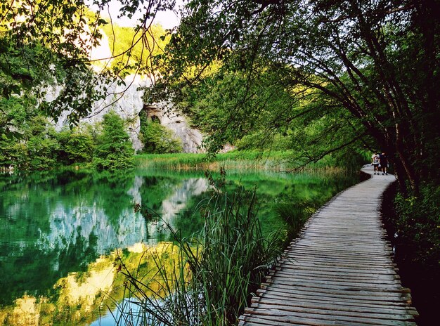 Boardwalk by lake at park