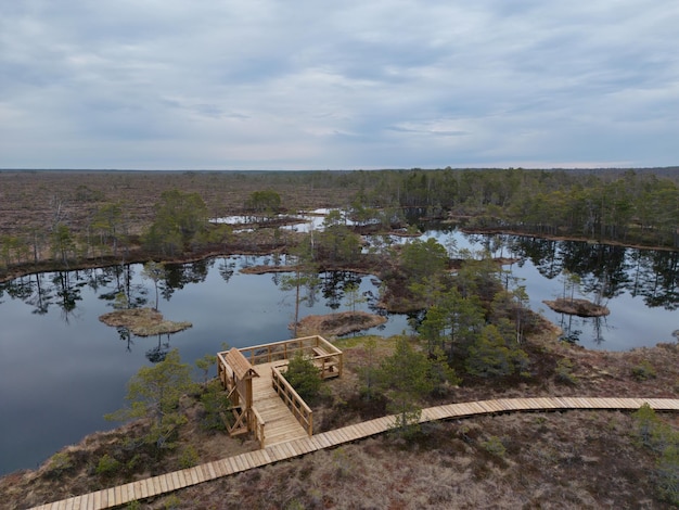 A boardwalk leads to a marsh with a bridge over it.