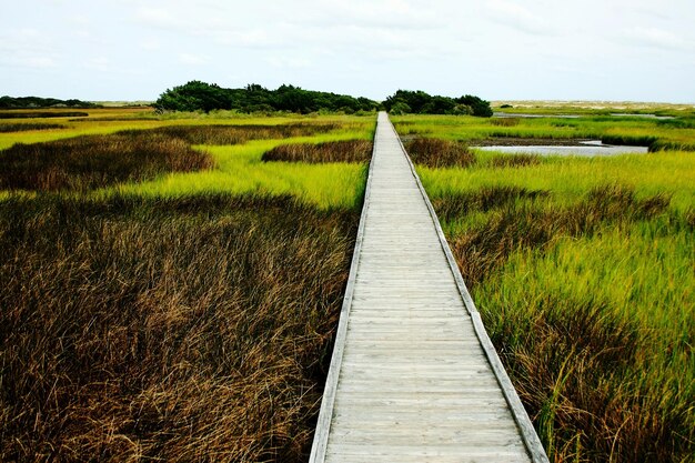 Foto boardwalk midden in het veld tegen de lucht