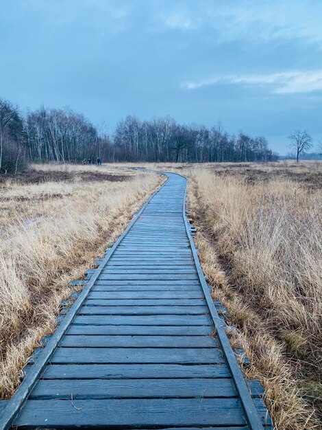 Foto boardwalk op het veld tegen de lucht