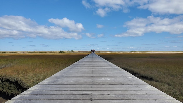 Foto boardwalk op het veld tegen de lucht