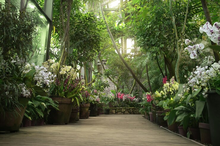 Photo boardwalk in orangery. exotic plant collection. winter garden. moscow state university botanical garden (aptekarskiy ogorod), moscow, russia
