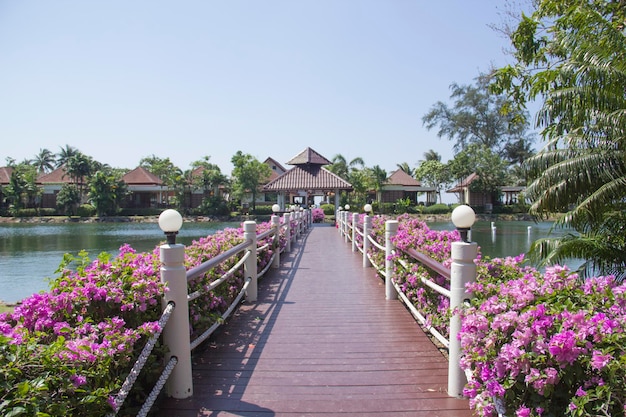 The boardwalk at the resort