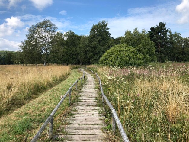 Foto boardwalk te midden van bomen op het veld tegen de lucht