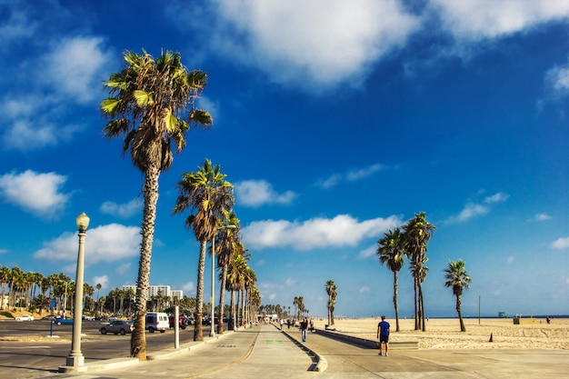 Boardwalk of Venince beach with palms, Los Angeles, USA