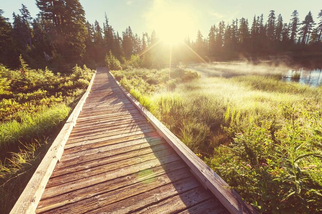 Boardwalk